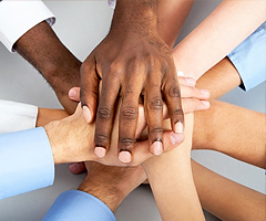 diversity diversity